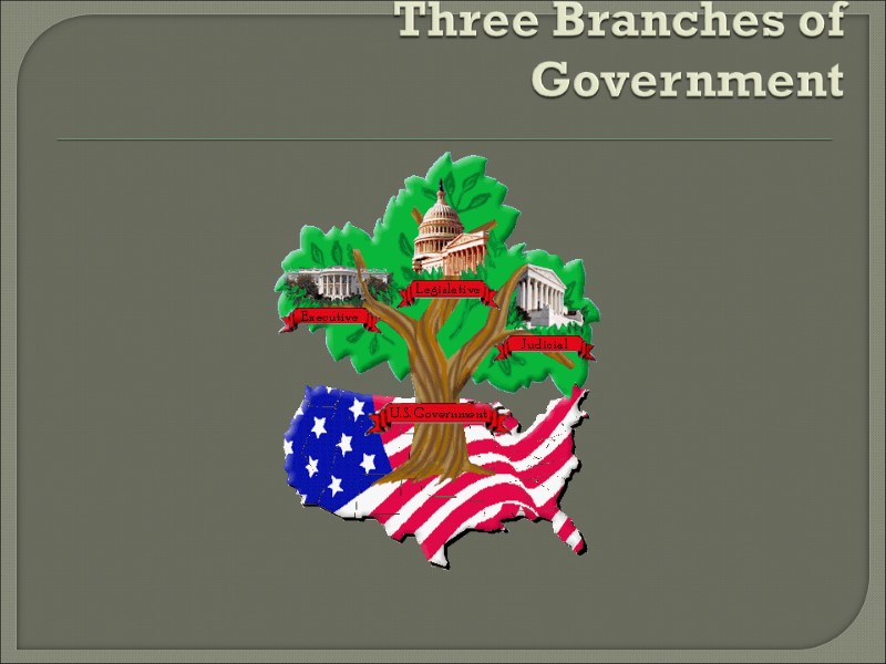 Three Branches of Government